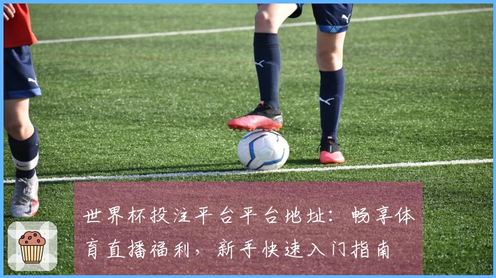世界杯投注平台平台地址：畅享体育直播福利，新手快速入门指南