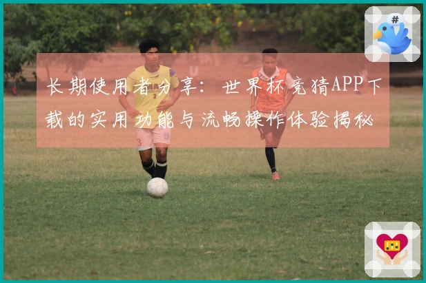 长期使用者分享：世界杯竞猜APP下载的实用功能与流畅操作体验揭秘