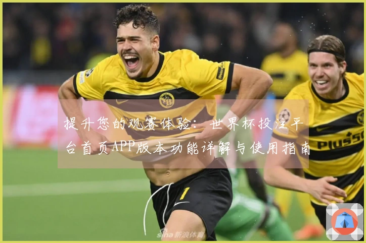 提升您的观赛体验：世界杯投注平台首页APP版本功能详解与使用指南