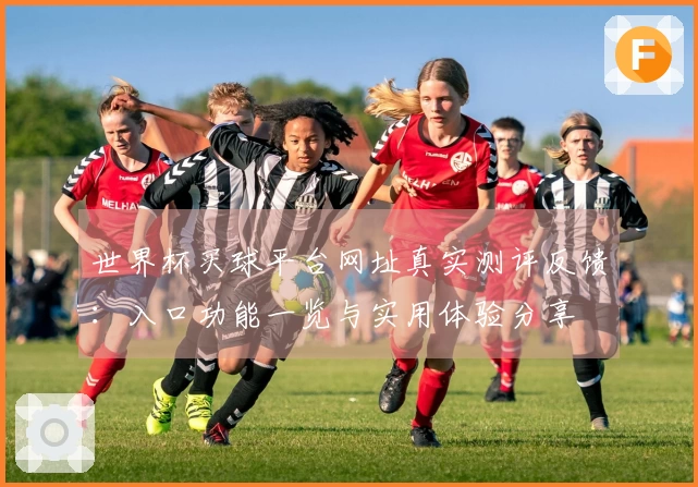 世界杯买球平台网址真实测评反馈:入口功能一览与实用体验分享