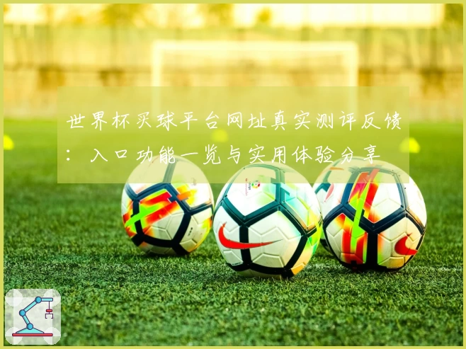 世界杯买球平台网址真实测评反馈：入口功能一览与实用体验分享