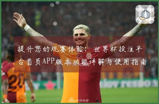 提升您的观赛体验：世界杯投注平台首页APP版本功能详解与使用指南