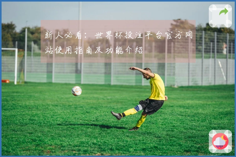 新人必看：世界杯投注平台官方网站使用指南及功能介绍