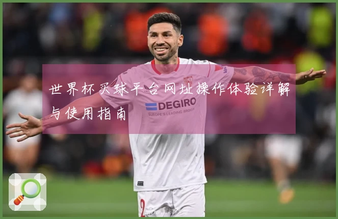 世界杯买球平台网址操作体验详解与使用指南