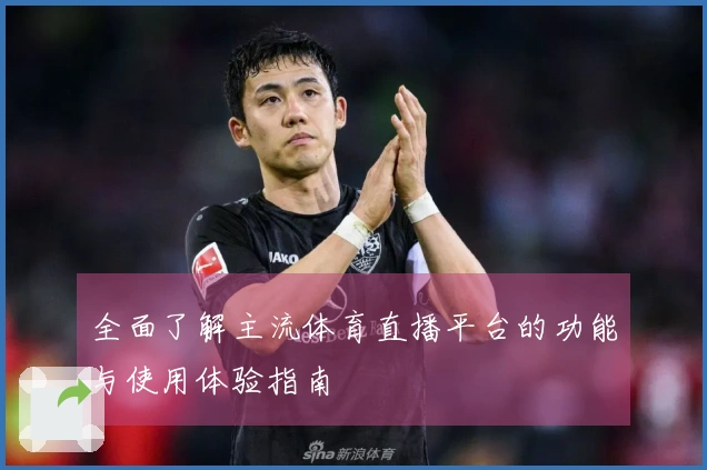 全面了解主流体育直播平台的功能与使用体验指南
