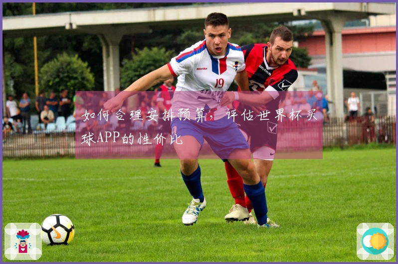 如何合理安排预算，评估世界杯买球APP的性价比