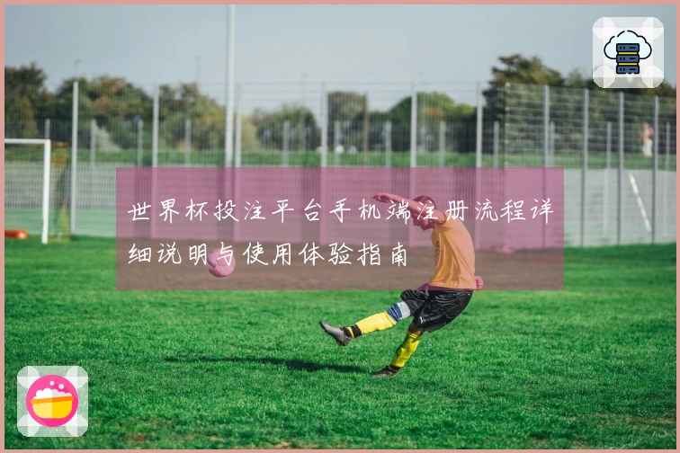 世界杯投注平台手机端注册流程详细说明与使用体验指南