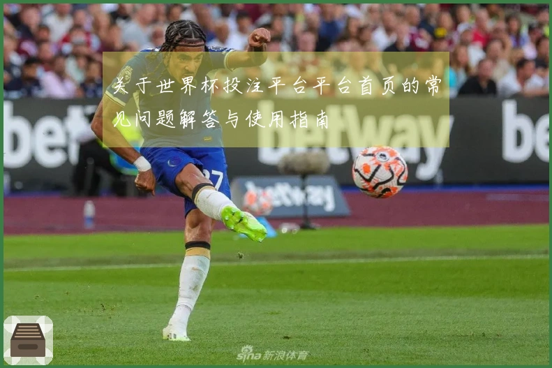 关于世界杯投注平台平台首页的常见问题解答与使用指南