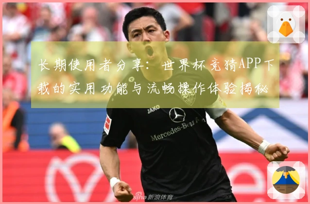 长期使用者分享：世界杯竞猜APP下载的实用功能与流畅操作体验揭秘