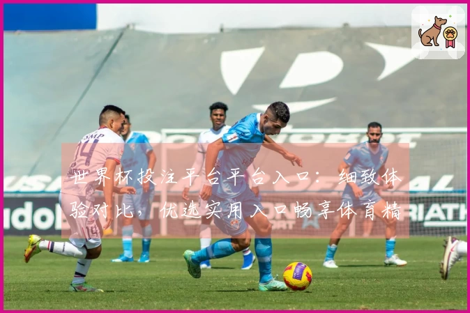 世界杯投注平台平台入口：细致体验对比，优选实用入口畅享体育精彩