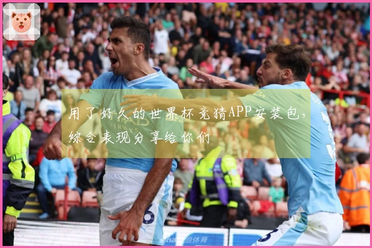 用了好久的世界杯竞猜APP安装包，综合表现分享给你们