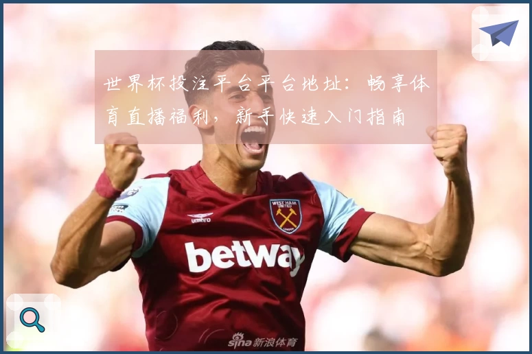 世界杯投注平台平台地址：畅享体育直播福利，新手快速入门指南